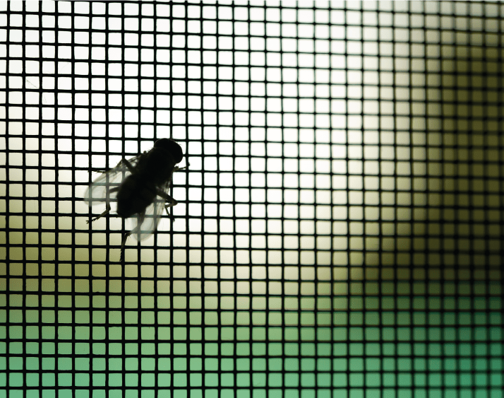 Tejido técnico de los mosquiteros de WINDARQ retienen insectos