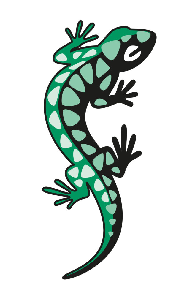 Salamander imagotipo